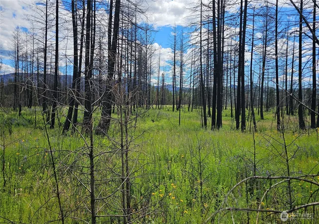 Photo 3 of Land for sale at 34 Xx Lael Flt Crk Rd, Kettle Falls, WA 99141 | MLS# NWM2590599 | Listing updated on 2026-10-02