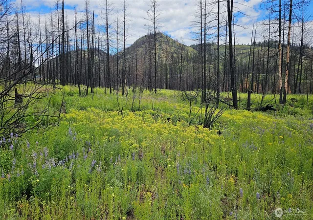 Photo 4 of Land for sale at 34 Xx Lael Flt Crk Rd, Kettle Falls, WA 99141 | MLS# NWM2590599 | Listing updated on 2026-10-02