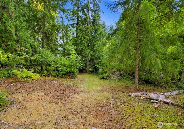 Photo 2 of Land for sale at 7433 207th Avenue E, Bonney Lake, WA 98391 | MLS# NWM2590633 | Listing updated on 2026-10-21