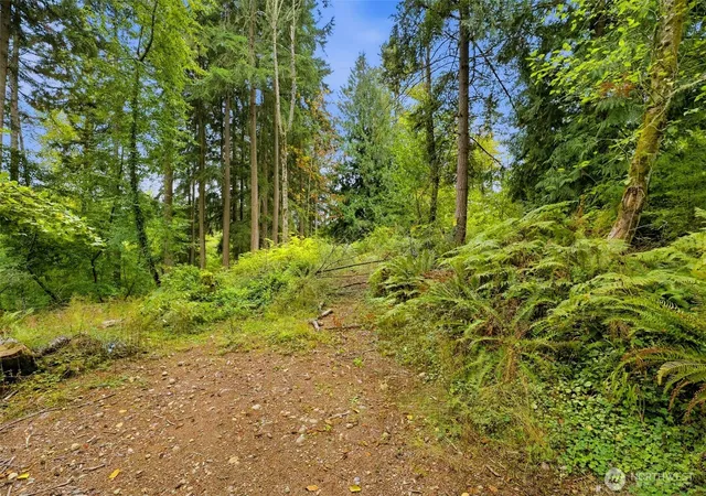 Photo 3 of Land for sale at 7433 207th Avenue E, Bonney Lake, WA 98391 | MLS# NWM2590633 | Listing updated on 2026-10-21