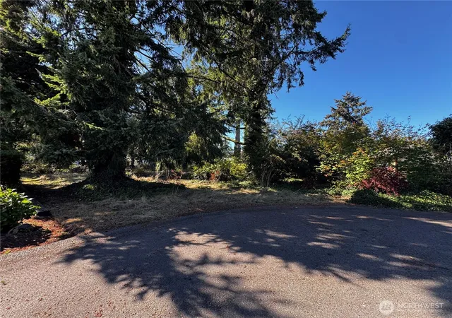 Photo 4 of Land for sale at 173 Mike Ct NE, Olympia, WA 98506 | MLS# NWM2590642 | Listing updated on 2026-10-14