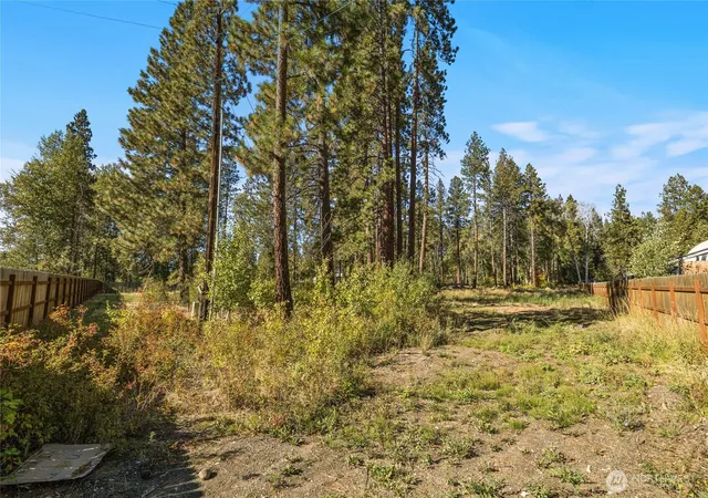 Land for sale at 0 Sr 970, Cle Elum, WA 98922 | MLS# NWM2590658