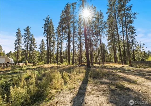Photo 4 of Land for sale at 0 Sr 970, Cle Elum, WA 98922 | MLS# NWM2590658 | Listing updated on 2026-10-07
