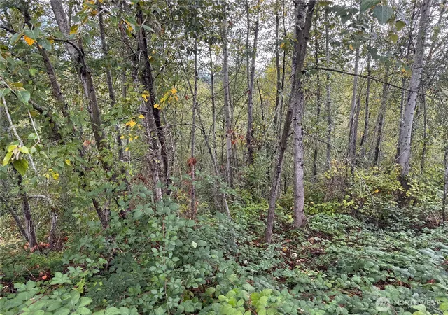 Photo 4 of Land for sale at 7704 211th Avenue E, Bonney Lake, WA 98391 | MLS# NWM2591146 | Listing updated on 2026-10-13