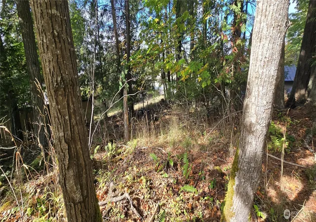 Photo 2 of Land for sale at 22 Rose, Port Angeles, WA 98362 | MLS# NWM2591152 | Listing updated on 2026-10-05