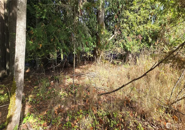 Photo 3 of Land for sale at 22 Rose, Port Angeles, WA 98362 | MLS# NWM2591152 | Listing updated on 2026-10-05