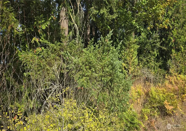Photo 4 of Land for sale at 22 Rose, Port Angeles, WA 98362 | MLS# NWM2591152 | Listing updated on 2026-10-05