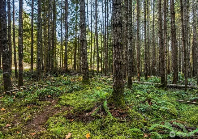 Photo 2 of Land for sale at 0 Baker View Dr, Sequim, WA 98382 | MLS# NWM2591184 | Listing updated on 2026-10-08