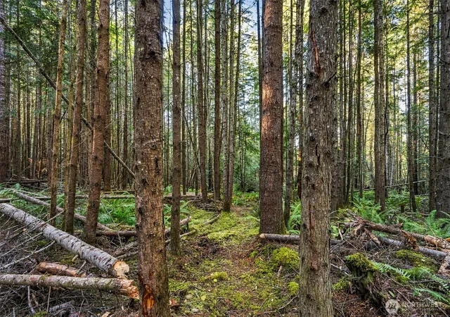 Photo 3 of Land for sale at 0 Baker View Dr, Sequim, WA 98382 | MLS# NWM2591184 | Listing updated on 2026-10-08