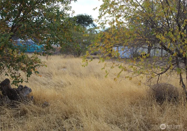 Photo 1 of Land for sale at 0 W Main St, Lind, WA 99341 | MLS# NWM2591230 | Listing updated on 2026-10-05