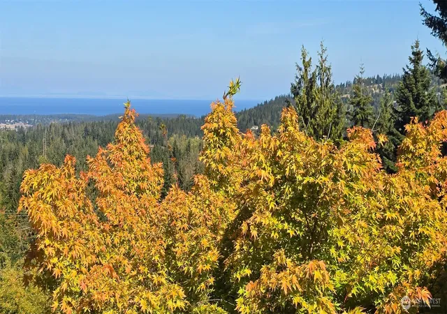 Photo 3 of Single family home for sale at 242 Forest Hvn Dr, Sequim, WA 98382 | MLS# NWM2591339 | Listing updated on 2026-10-12