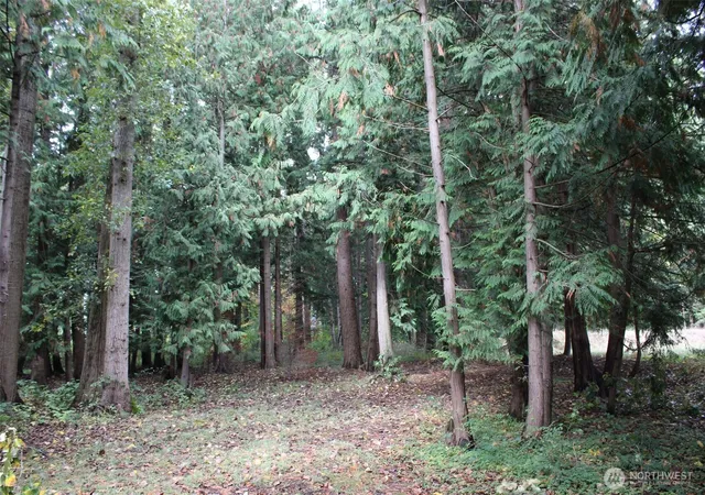 Photo 3 of Land for sale at 1640 Harksell Rd, Ferndale, WA 98248 | MLS# NWM2591363 | Listing updated on 2026-10-06