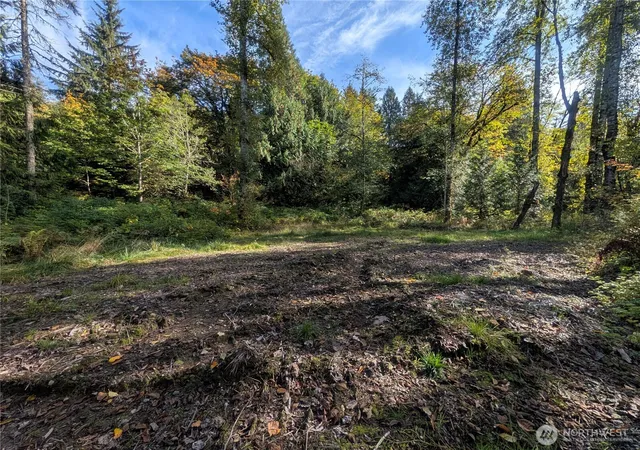 Photo 3 of Land for sale at 35027 Ne 154th Street, Duvall, WA 98019 | MLS# NWM2591385 | Listing updated on 2026-10-15