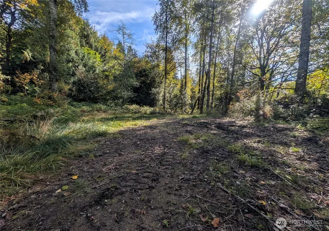 Photo 3 of Land for sale at 35027 NE 154th Street, Duvall, WA 98019 | MLS# NWM2591385 | Listing updated on 2026-10-15