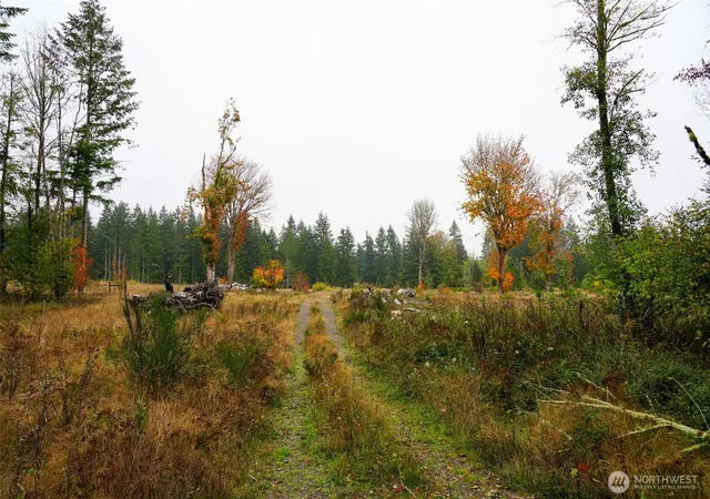 Land for sale at 15138 Champion Est Dr SE, Yelm, WA 98597 | MLS# NWM2591588