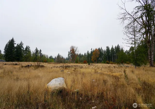 Photo 3 of Land for sale at 15138 Champion Est Dr Se, Yelm, WA 98597 | MLS# NWM2591588 | Listing updated on 2026-10-13