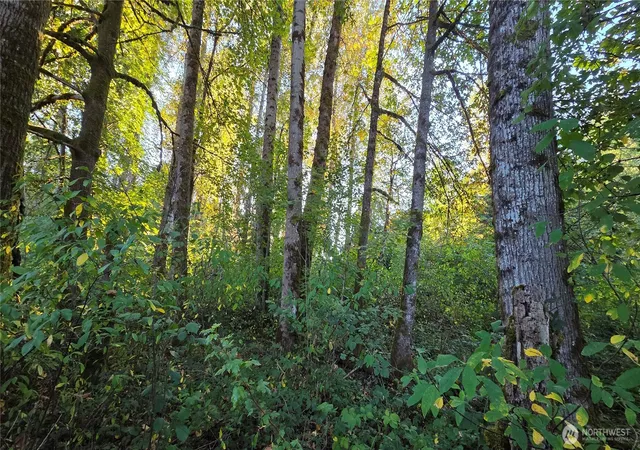 Photo 3 of Land for sale at 15323 207th Place Se, Renton, WA 98059 | MLS# NWM2591779 | Listing updated on 2026-10-07