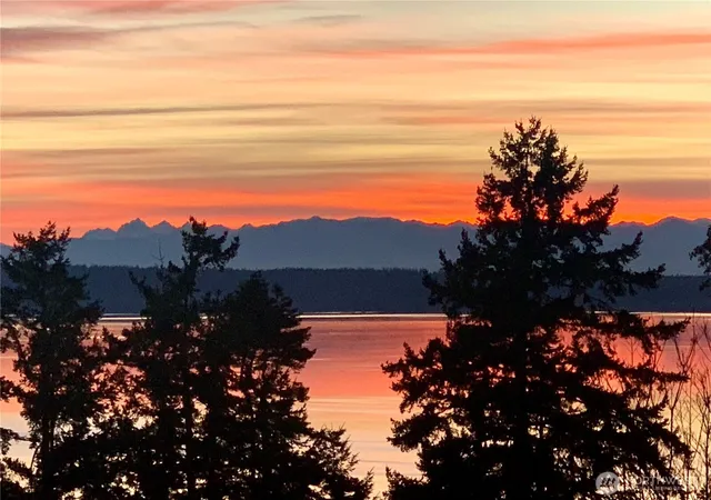 Photo 3 of Single family home for sale at 371 Vine St, Camano Island, WA 98282 | MLS# NWM2591784 | Listing updated on 2026-10-09