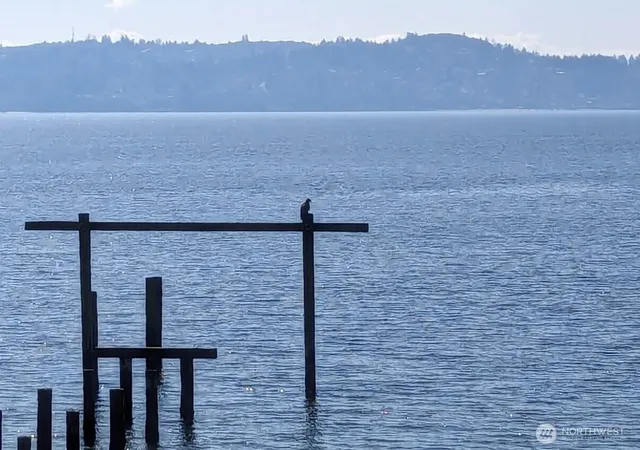 Photo 4 of Land for sale at 25724 Gold Beach Dr SW, Vashon, WA 98070 | MLS# NWM2592250 | Listing updated on 2026-10-09