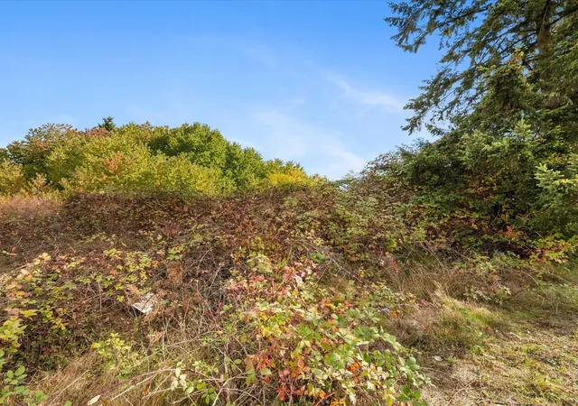Photo 2 of Land for sale at 181920 51st Avenue NE, Arlington, WA 98223 | MLS# NWM2592269 | Listing updated on 2026-10-15