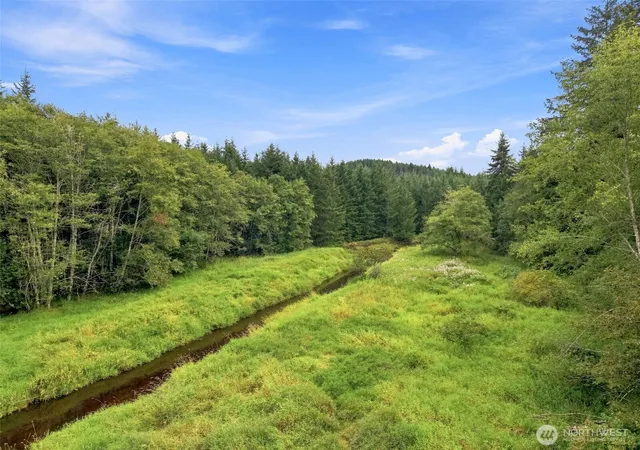 Photo 3 of Land for sale at 0 Elk Crk Rd, Chehalis, WA 98532 | MLS# NWM2592270 | Listing updated on 2026-10-10