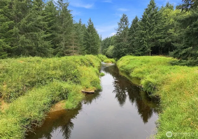 Photo 4 of Land for sale at 0 Elk Crk Rd, Chehalis, WA 98532 | MLS# NWM2592270 | Listing updated on 2026-10-10