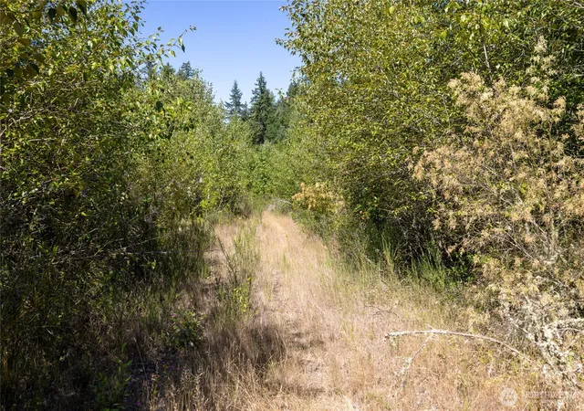 Photo 3 of Land for sale at 0 173rd Avenue SE, Yelm, WA 98597 | MLS# NWM2592304 | Listing updated on 2026-10-09