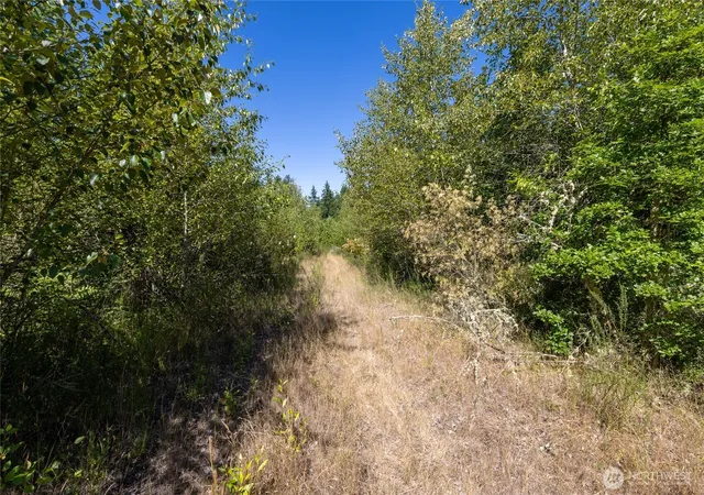 Photo 4 of Land for sale at 0 173rd Avenue SE, Yelm, WA 98597 | MLS# NWM2592304 | Listing updated on 2026-10-09