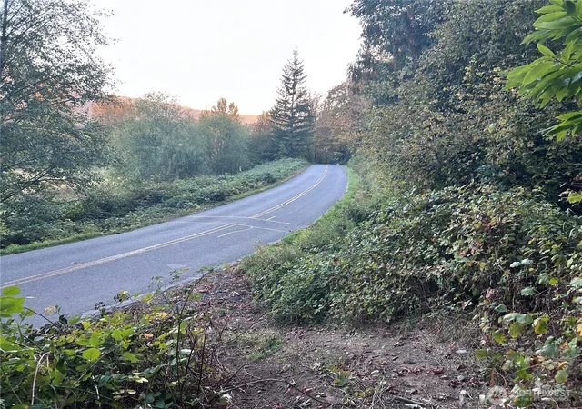 Photo 4 of Land for sale at 0 Fern Blf Rd S, Monroe, WA 98272 | MLS# NWM2592388 | Listing updated on 2026-10-12