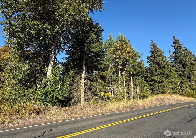 Photo 2 of Land for sale at 0 Cloverdale Rd, Kalama, WA 98625 | MLS# NWM2592743 | Listing updated on 2026-10-09