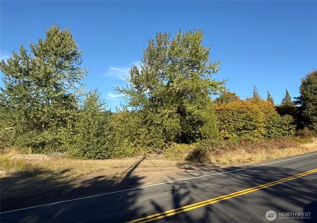 Photo 4 of Land for sale at 106 Greystone Rd, Kalama, WA 98625 | MLS# NWM2592986 | Listing updated on 2026-10-19