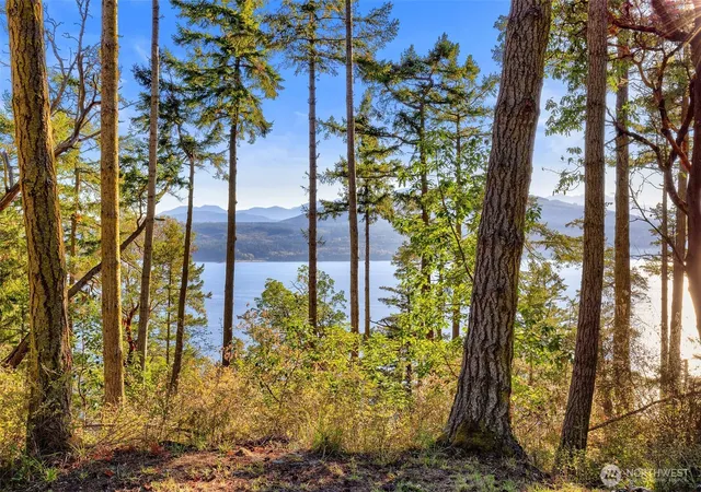 Photo 3 of Single family home for sale at 611 Ln De Chantal, Port Townsend, WA 98368 | MLS# NWM2593004 | Listing updated on 2026-10-13