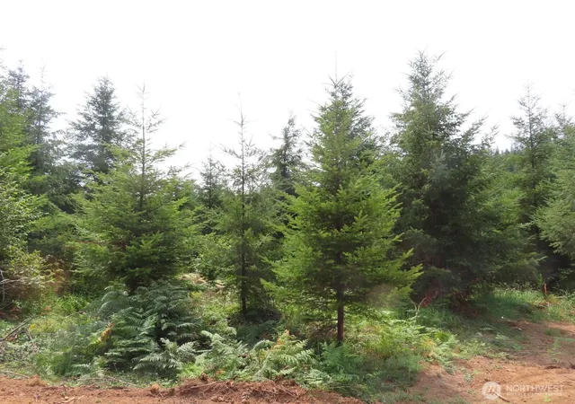 Land for sale at 0 Lot D Ml Crk Ln, Longview, WA 98632 | MLS# NWM2593025