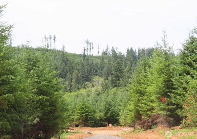Photo 1 of Land for sale at 0 Lot D Ml Crk Ln, Longview, WA 98632 | MLS# NWM2593025 | Listing updated on 2026-10-09