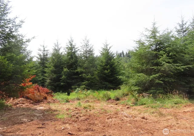 Photo 3 of Land for sale at 0 Lot D Ml Crk Ln, Longview, WA 98632 | MLS# NWM2593025 | Listing updated on 2026-10-09