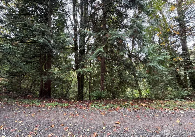 Photo 3 of Land for sale at 376 E Xx Lake Walker Dr SE #A, Enumclaw, WA 98022 | MLS# NWM2593157 | Listing updated on 2026-10-12