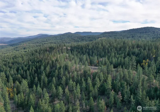 Land for sale at 9 Marmot Aly Rd, Tonasket, WA 98855 | MLS# NWM2593424