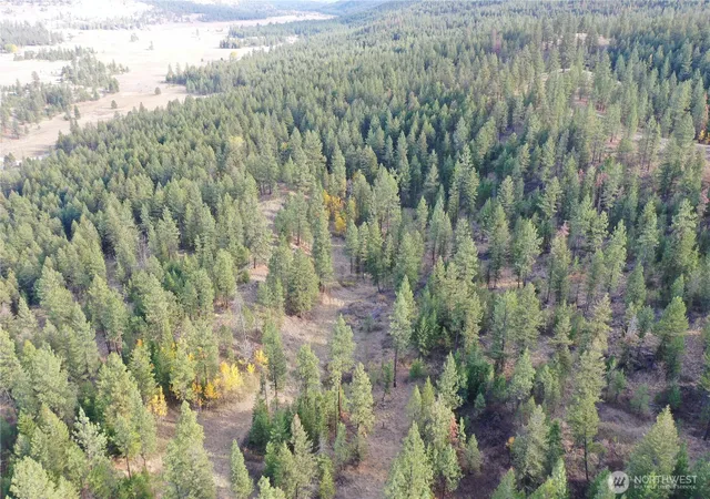 Photo 2 of Land for sale at 9 Marmot Aly Rd, Tonasket, WA 98855 | MLS# NWM2593424 | Listing updated on 2026-10-11