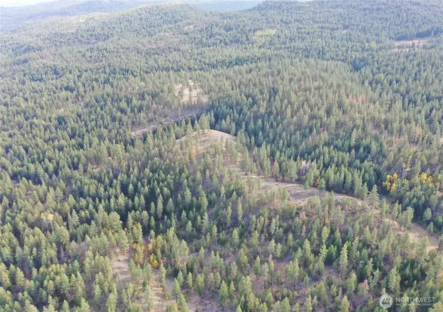 Photo 3 of Land for sale at 9 Marmot Aly Rd, Tonasket, WA 98855 | MLS# NWM2593424 | Listing updated on 2026-10-11