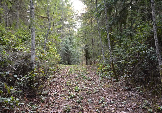Photo 4 of Land for sale at 873 Lemmon Rd, Port Angeles, WA 98362 | MLS# NWM2593474 | Listing updated on 2026-10-19