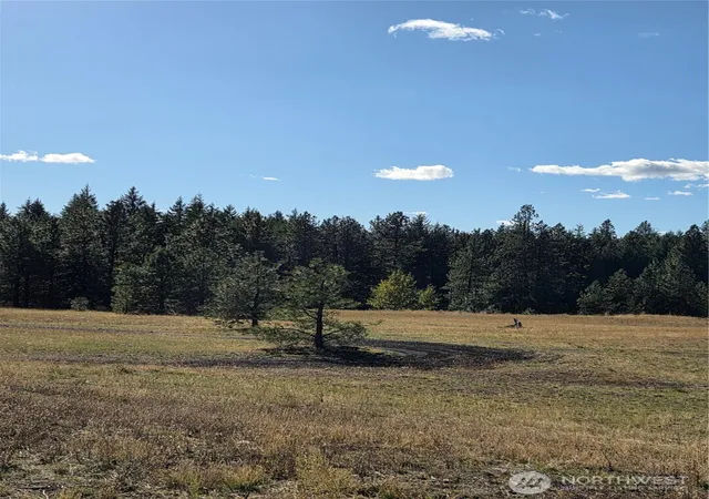 Photo 3 of Land for sale at 4 Rockrose Dr, Ronald, WA 98940 | MLS# NWM2593588 | Listing updated on 2026-10-20