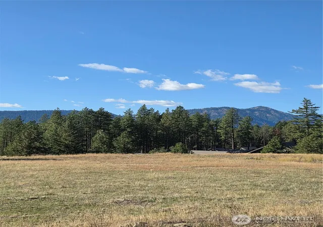 Photo 1 of Land for sale at 6 Rockrose Dr, Ronald, WA 98940 | MLS# NWM2593620 | Listing updated on 2026-10-20
