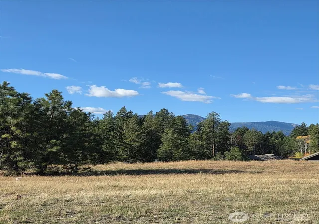 Photo 4 of Land for sale at 6 Rockrose Dr, Ronald, WA 98940 | MLS# NWM2593620 | Listing updated on 2026-10-20