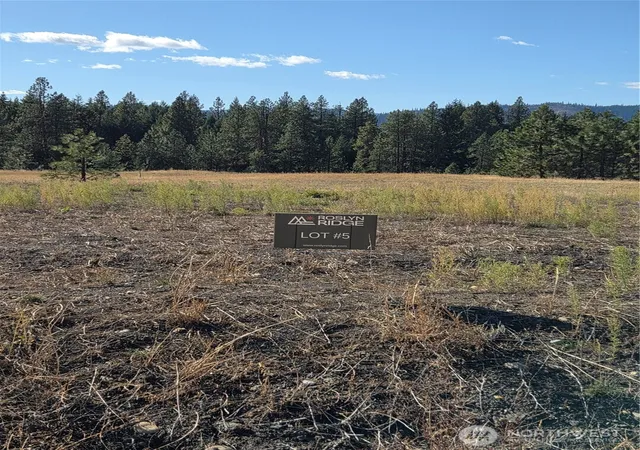 Land for sale at 5 Rockrose Dr, Ronald, WA 98940 | MLS# NWM2593621