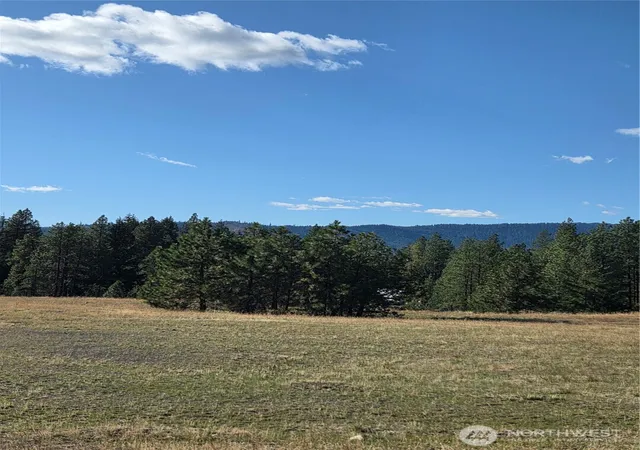Photo 3 of Land for sale at 5 Rockrose Dr, Ronald, WA 98940 | MLS# NWM2593621 | Listing updated on 2026-10-20