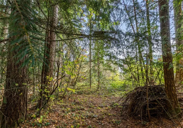 Photo 2 of Land for sale at 8290 Golden Valley Blvd, Maple Falls, WA 98266 | MLS# NWM2593627 | Listing updated on 2026-10-19