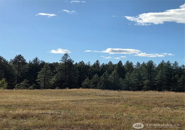 Photo 4 of Land for sale at 7 Rockrose Dr, Ronald, WA 98940 | MLS# NWM2593674 | Listing updated on 2026-10-20