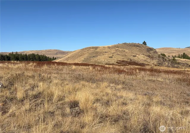 Photo 3 of Land for sale at 0 Tbd Mountain View Dr, Oroville, WA 98844 | MLS# NWM2593677 | Listing updated on 2026-10-12
