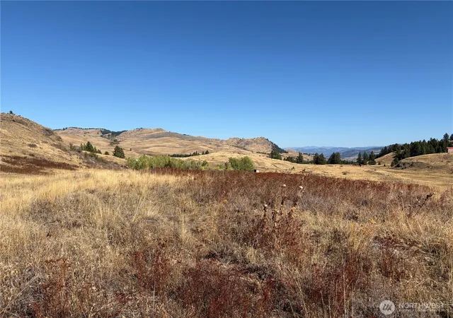 Photo 3 of Land for sale at 0 Tbd Mountain View Dr, Oroville, WA 98844 | MLS# NWM2593677 | Listing updated on 2026-10-12