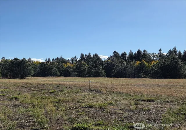 Photo 3 of Land for sale at 8 Rockrose Dr, Ronald, WA 98940 | MLS# NWM2593686 | Listing updated on 2026-10-20